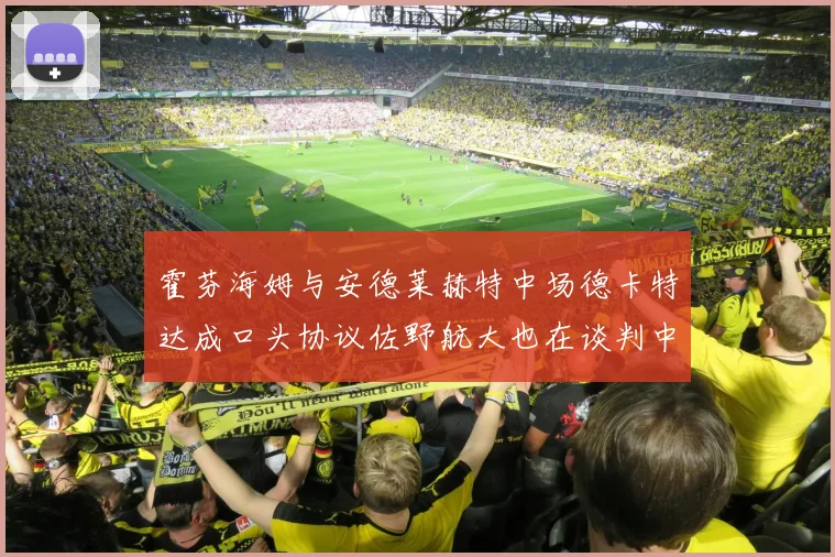 霍芬海姆与安德莱赫特中场德卡特达成口头协议佐野航大也在谈判中